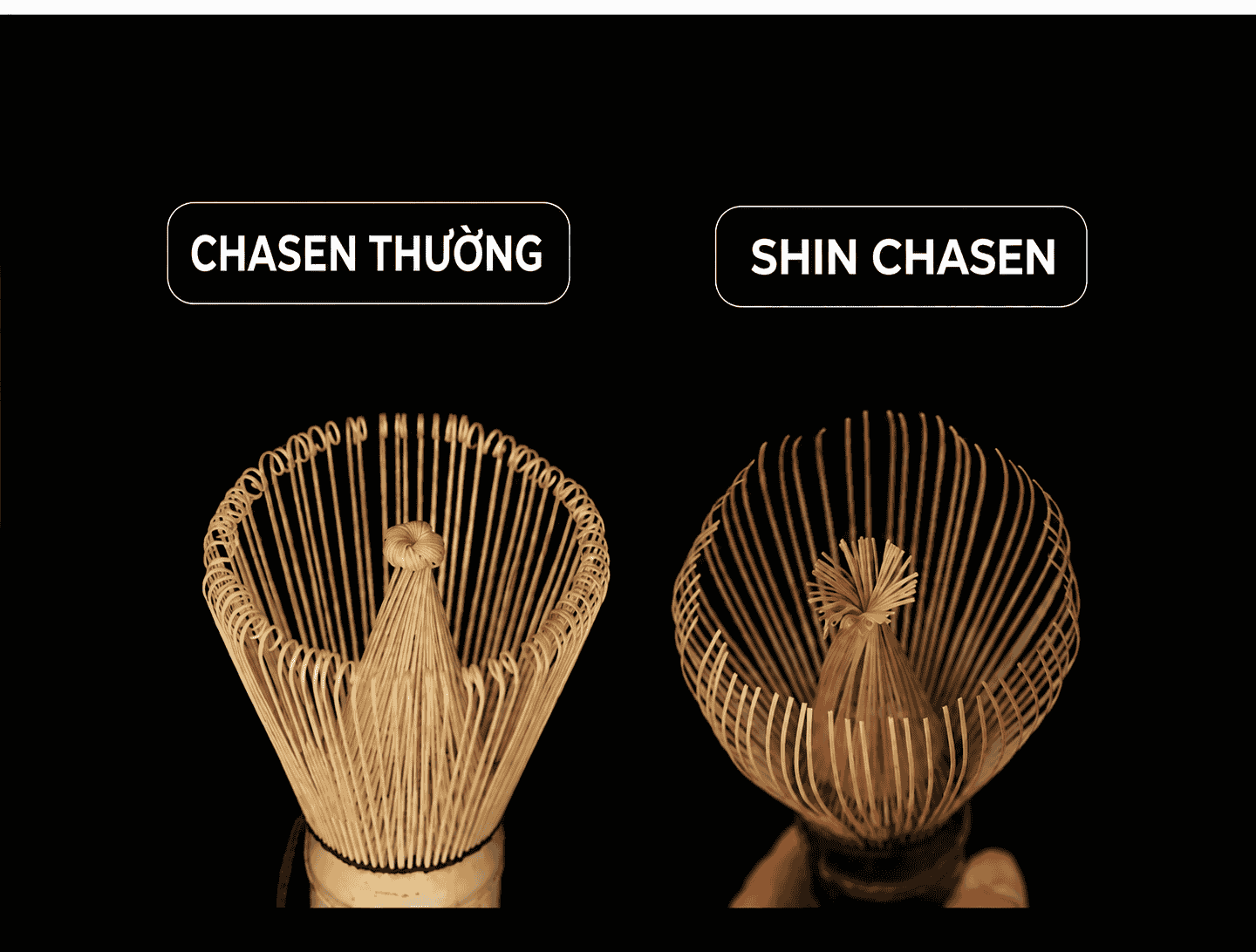 Chổi Đánh Matcha Shin Chasen Hoshiko SCS1 - Chổi Shin Đánh Bọt Matcha Cao Cấp Nhật Bản Thủ Công - Ảnh 12